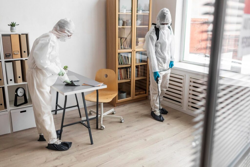 Asbestos and Mold Removal