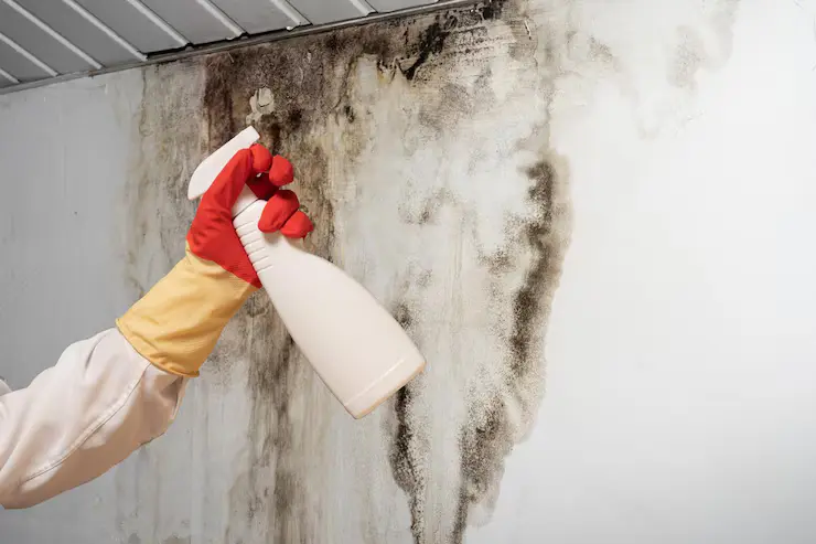 asbestos removal in Long Island