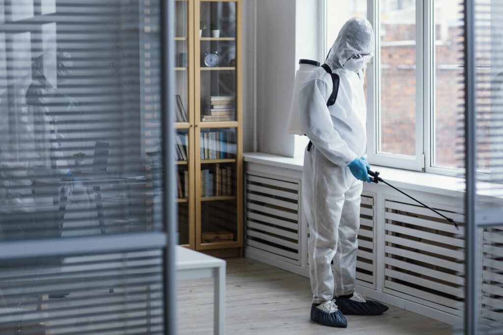 cost of mold remediation