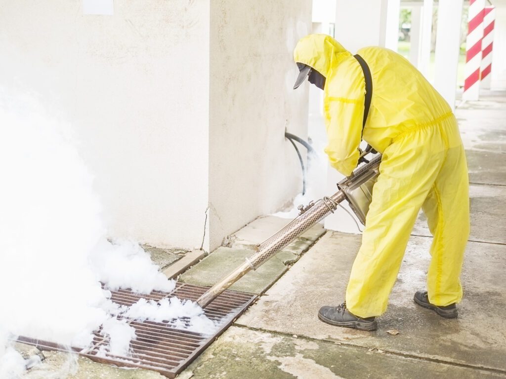 cost of mold remediation