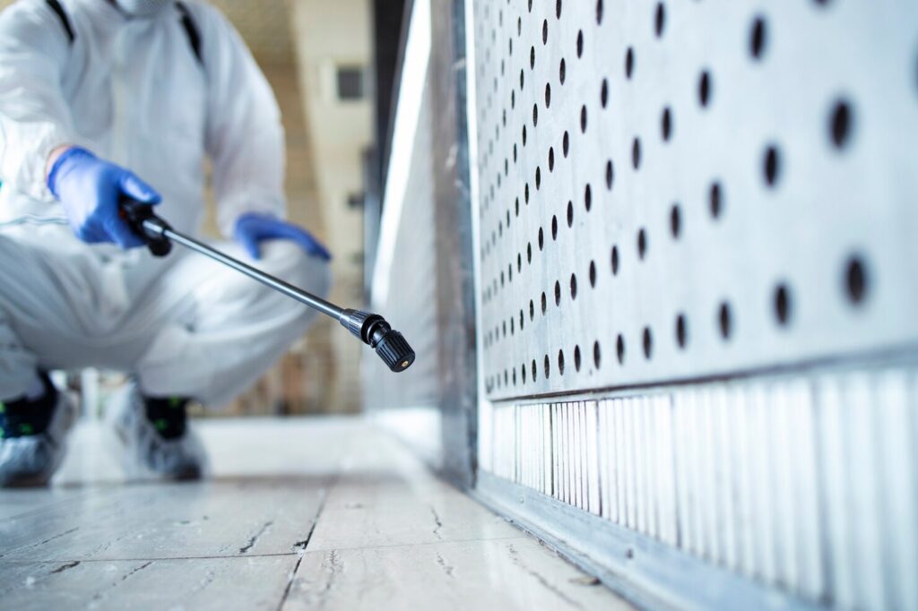 Mold Remediation Near Me