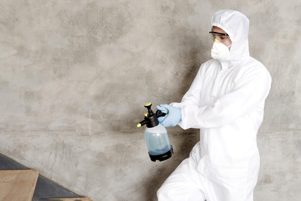 mold inspection and remediation guide