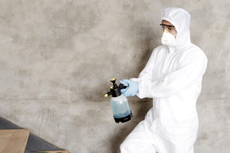 mold inspection and remediation guide