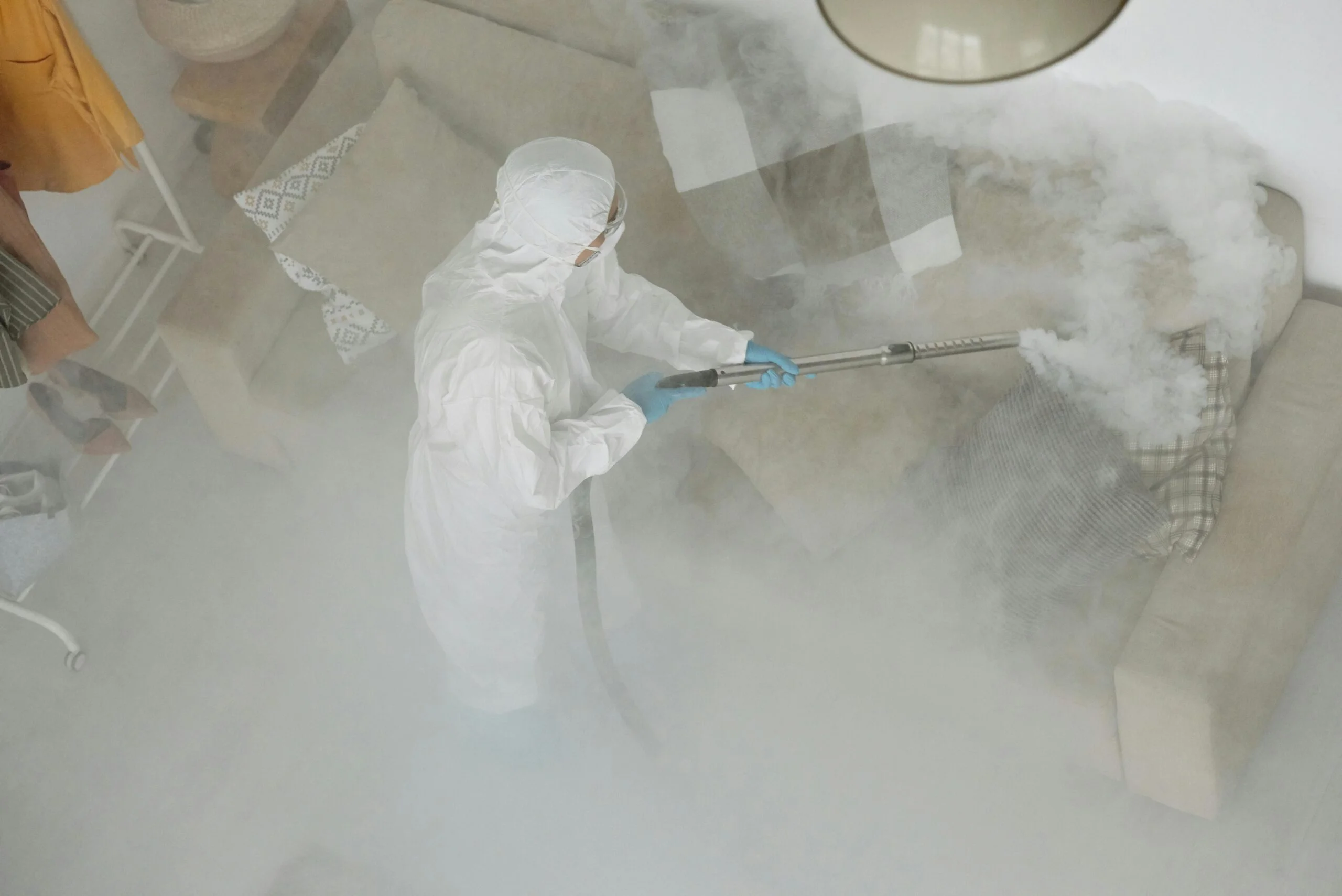 mold remediation in Commack